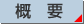 概要